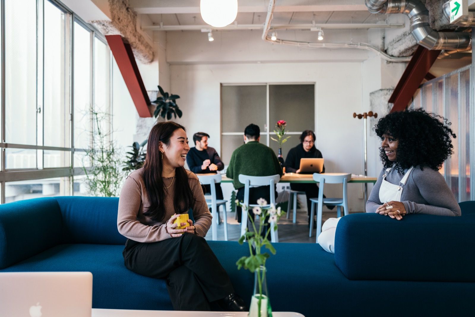 Four people in relaxed conversation on sofas in a bright, plant-filled lounge